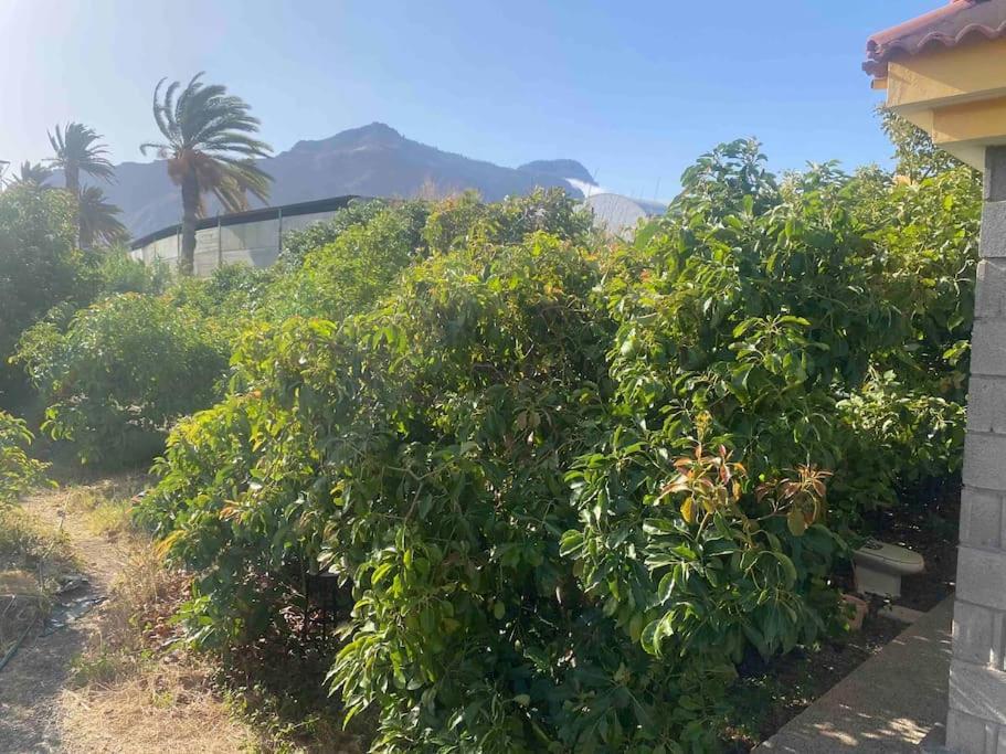 Casita Lily Villa Las Palmas Buitenkant foto
